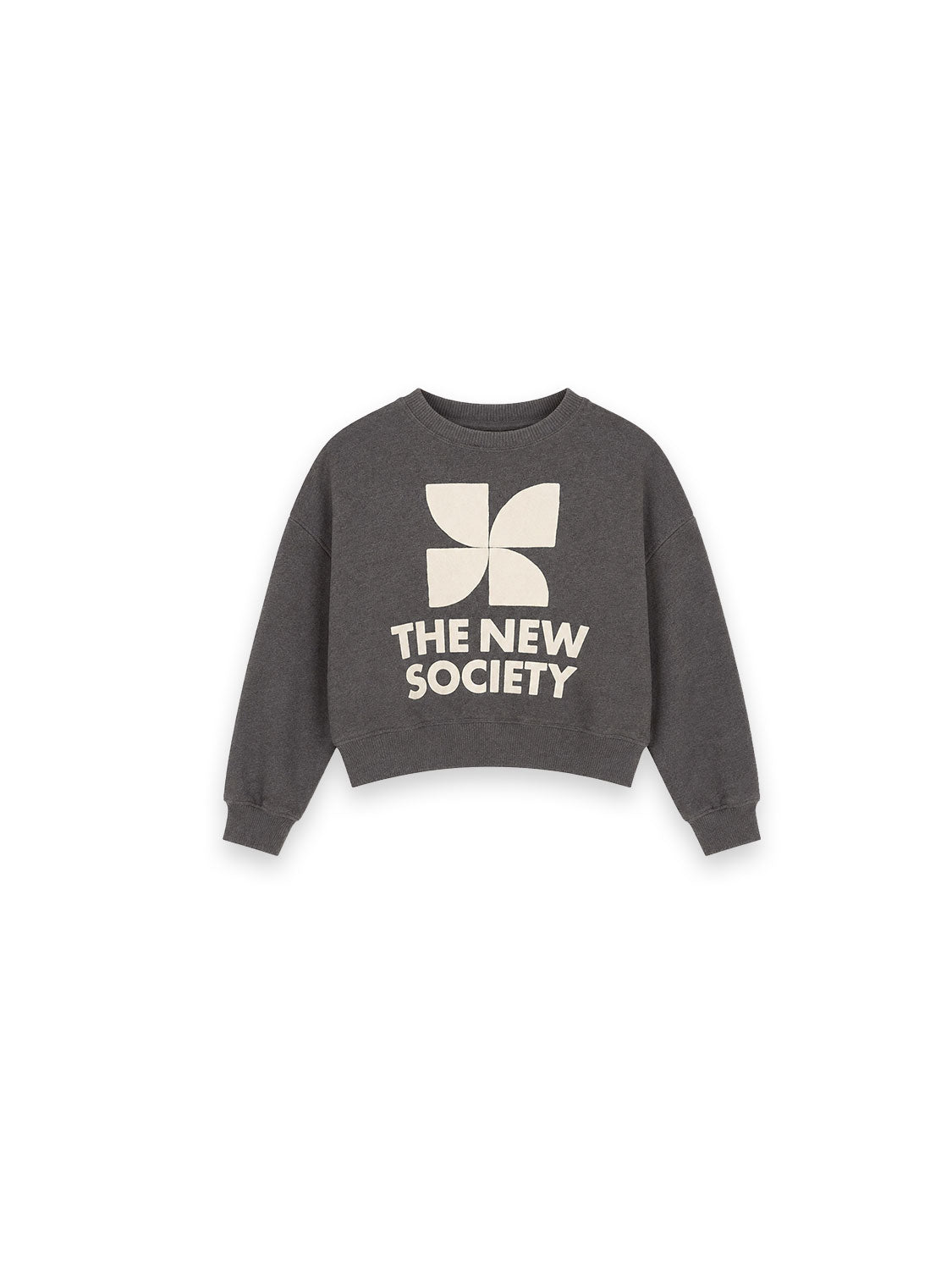 Tns Logo Pullover – Sweatshirt mit großem Logo-Print