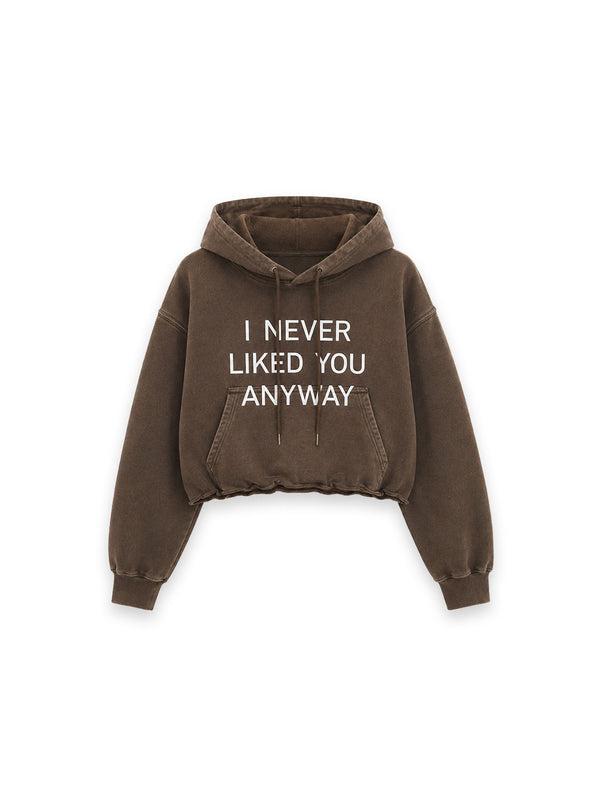 I Never Liked Pullover – Markanter Frontprint