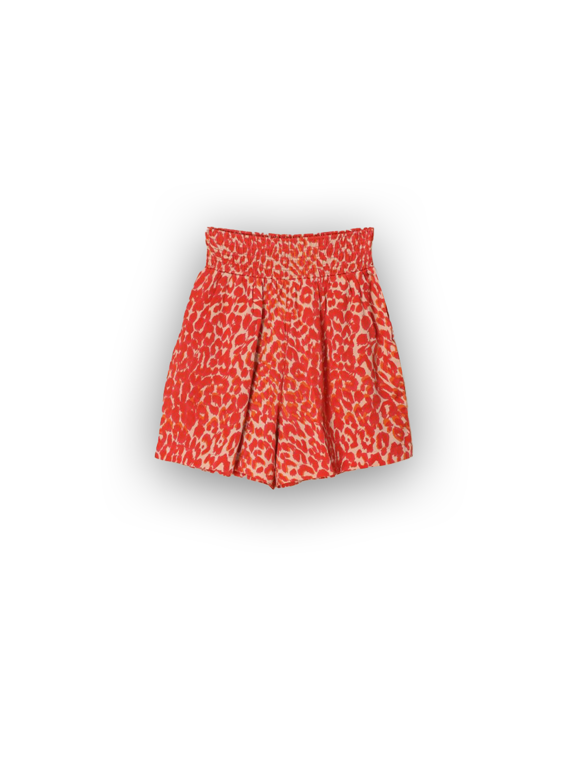 Trunk Chetaah - Shorts 