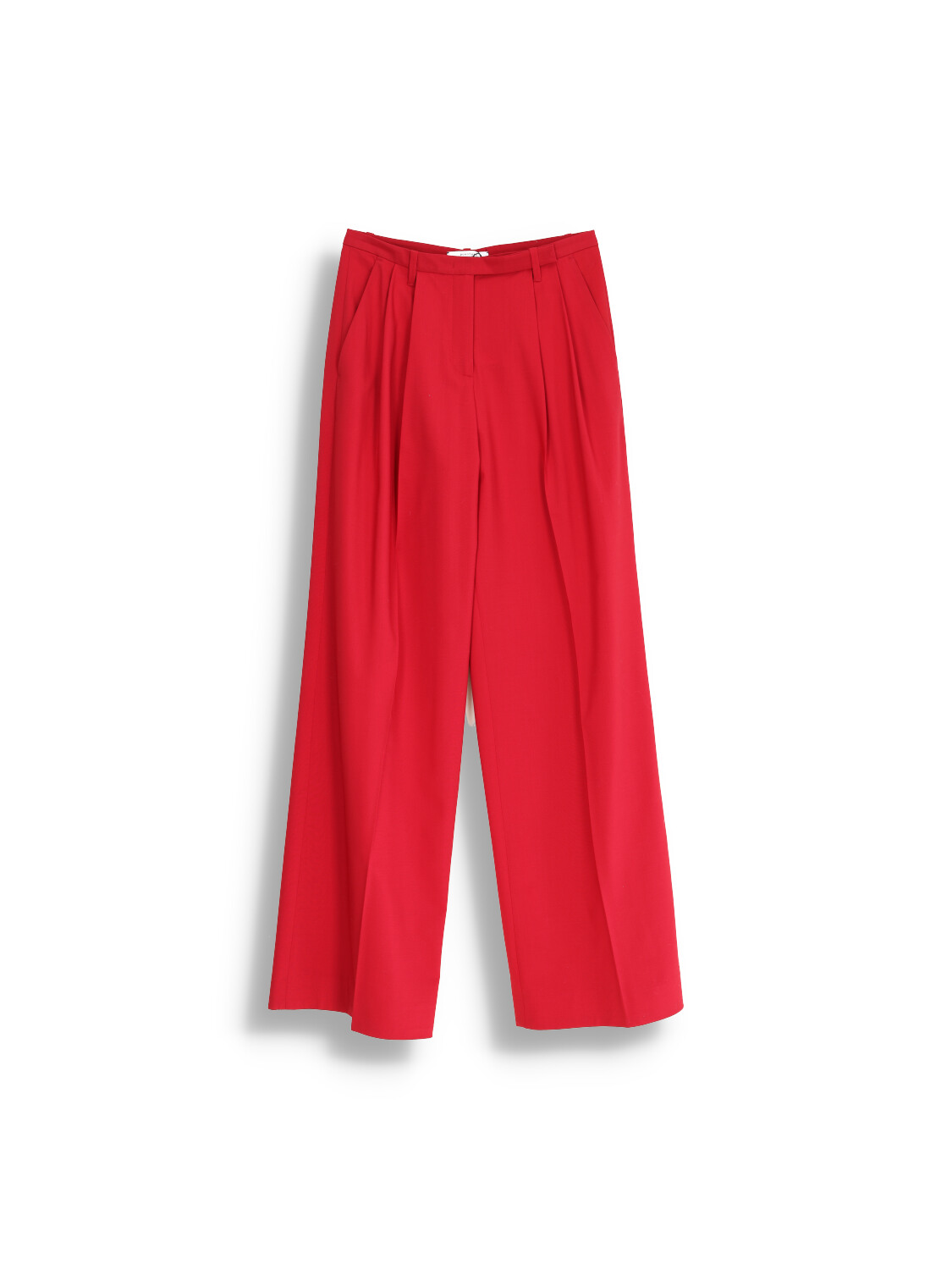 Pleated trousers with wide cut leg